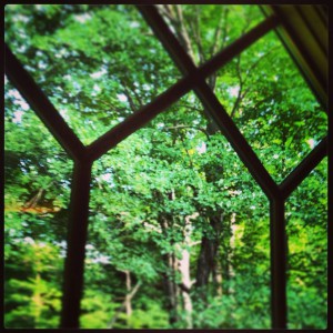 Window contemplation by Melissa Borgmann-Kiemde What are you called to contemplate?