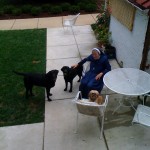 Georgetown Visitation's Sr Philomenia & pups Gabe and Nicholas