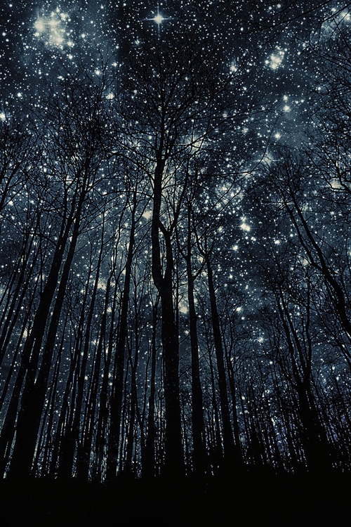 starry-night